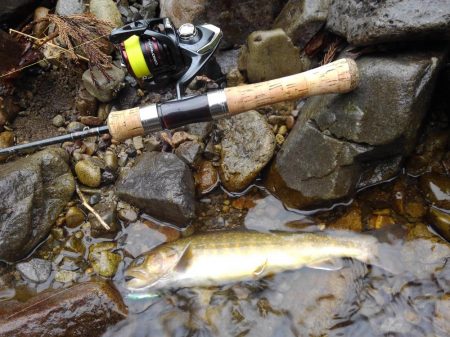 雨の渓流ミノーイング